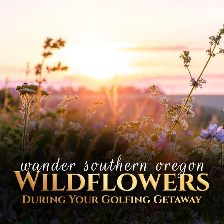 Wander Southern Oregon Wildflowers During Your Golfing Getaway2